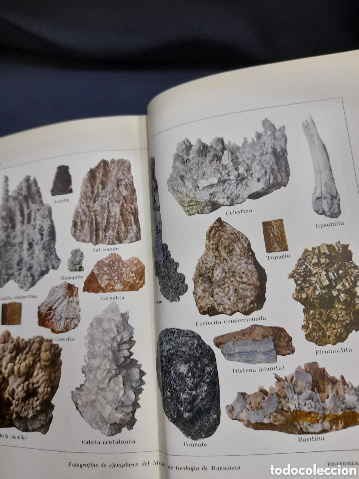 Libros antiguos: Mineralogia, Editorial Labor de 1927 - Foto 8