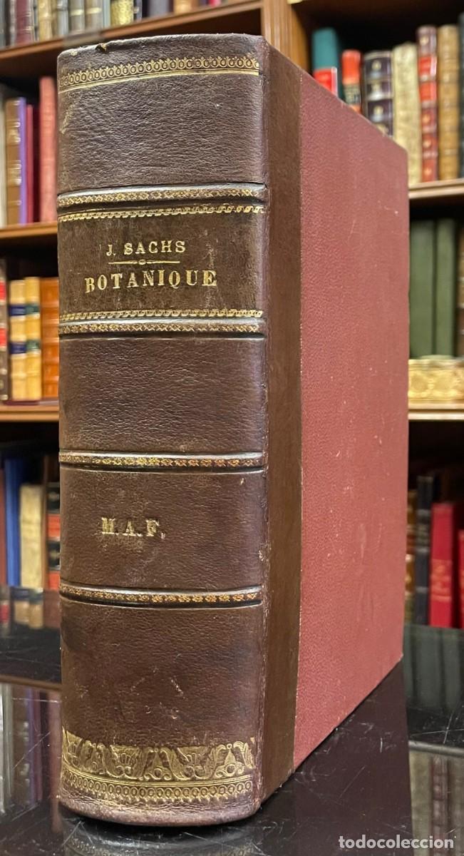 Libros antiguos: Traite de Botanique - J. Sachs - Foto 1