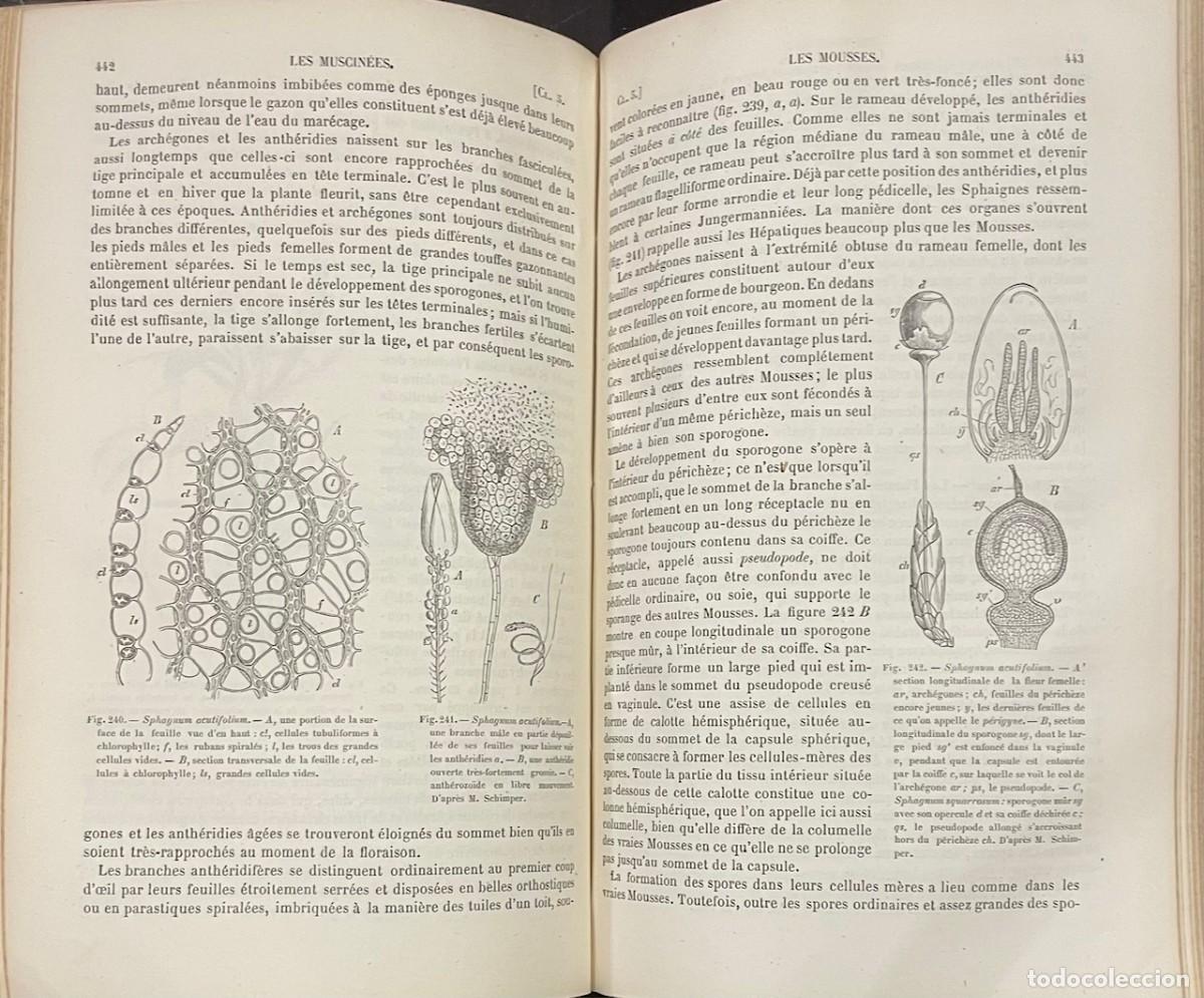Libros antiguos: Traite de Botanique - J. Sachs - Foto 3