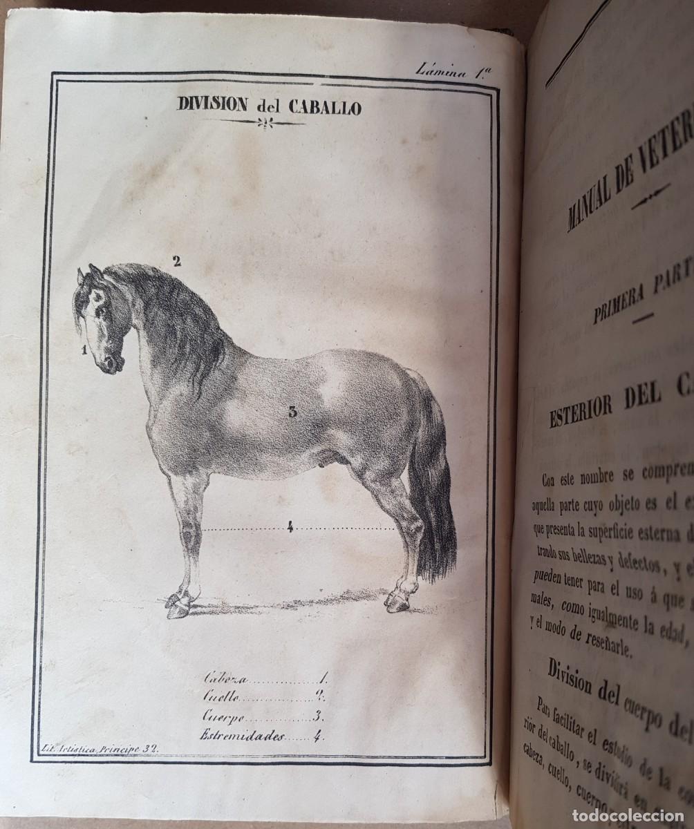 Libros antiguos: Manual de Veterinaria 1851 - Foto 4