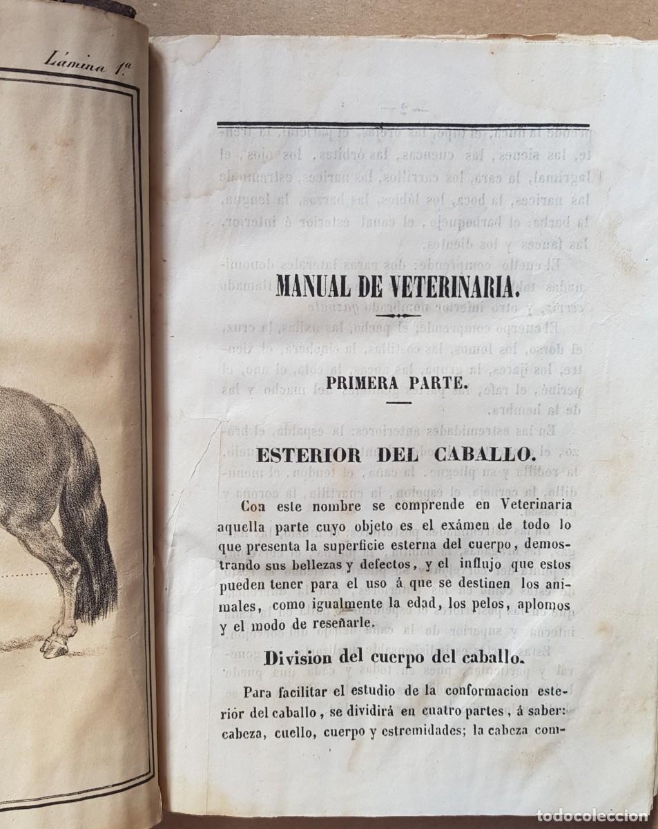 Libros antiguos: Manual de Veterinaria 1851 - Foto 5