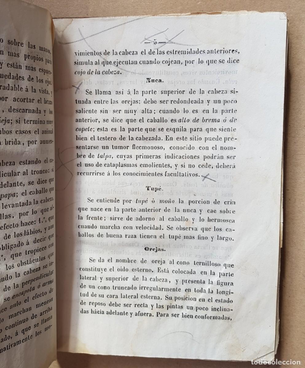 Libros antiguos: Manual de Veterinaria 1851 - Foto 6
