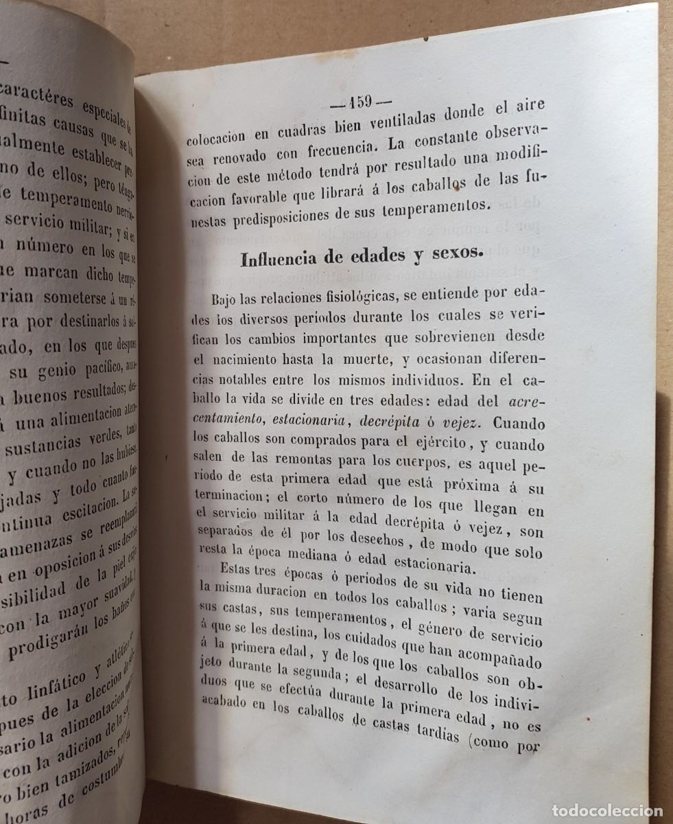 Libros antiguos: Manual de Veterinaria 1851 - Foto 10