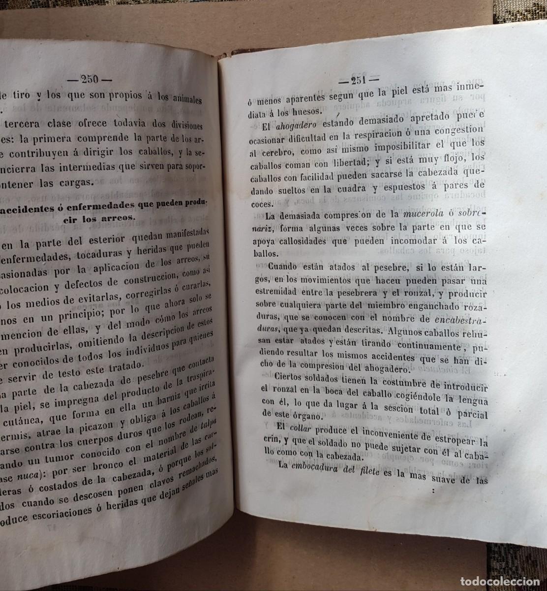 Libros antiguos: Manual de Veterinaria 1851 - Foto 11