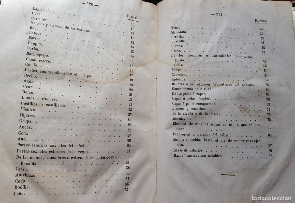 Libros antiguos: Manual de Veterinaria 1851 - Foto 16