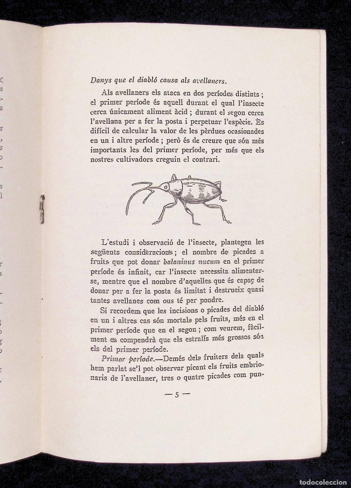 Libros antiguos: COM ES COMBAT EL DIABL&Oacute; DE LAVELLANER. - AGUIL&Oacute;, Joan. - Foto 3
