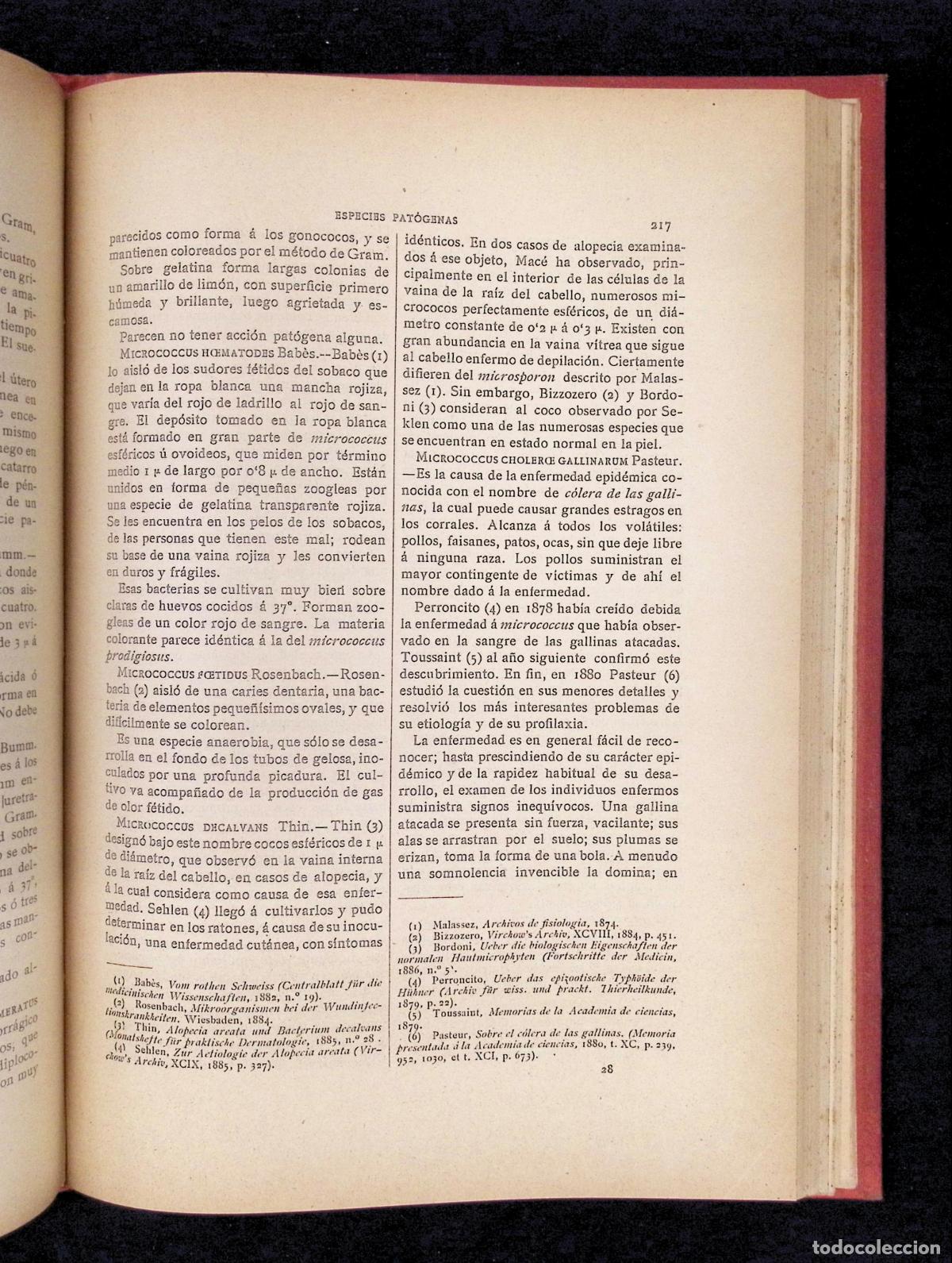 Libros antiguos: TRATADO DE MICROBIOLOG&Iacute;A &Oacute; LOS INFINITAMENTE PEQUE&Ntilde;OS. - TYNDALL, MAC&Eacute;, PASTEUR, ETC. - Foto 5