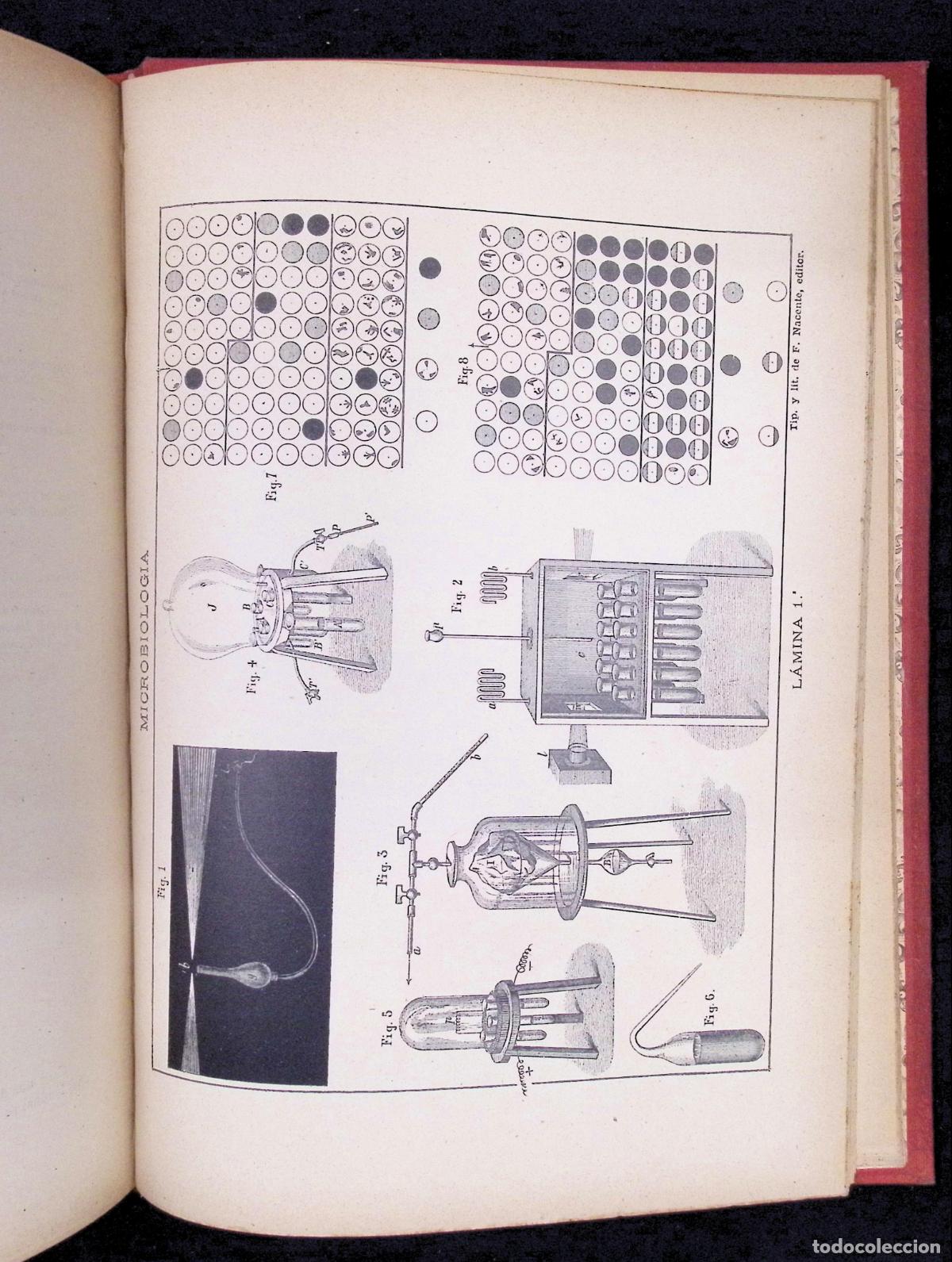 Libros antiguos: TRATADO DE MICROBIOLOG&Iacute;A &Oacute; LOS INFINITAMENTE PEQUE&Ntilde;OS. - TYNDALL, MAC&Eacute;, PASTEUR, ETC. - Foto 6