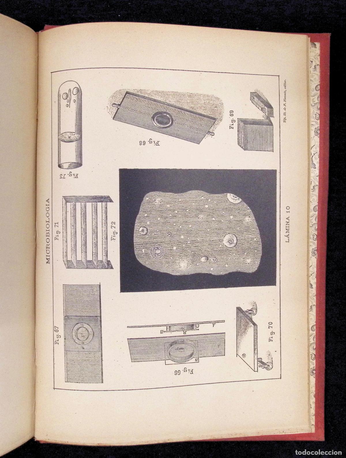 Libros antiguos: TRATADO DE MICROBIOLOG&Iacute;A &Oacute; LOS INFINITAMENTE PEQUE&Ntilde;OS. - TYNDALL, MAC&Eacute;, PASTEUR, ETC. - Foto 7