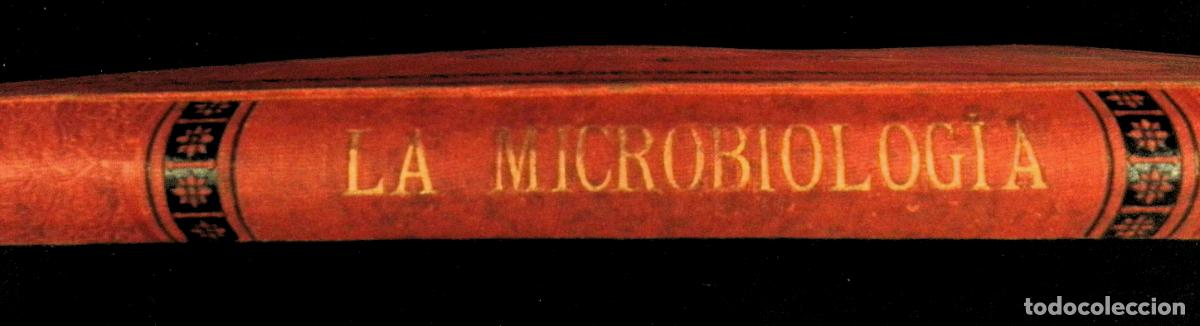 Libros antiguos: TRATADO DE MICROBIOLOG&Iacute;A &Oacute; LOS INFINITAMENTE PEQUE&Ntilde;OS. - TYNDALL, MAC&Eacute;, PASTEUR, ETC. - Foto 9