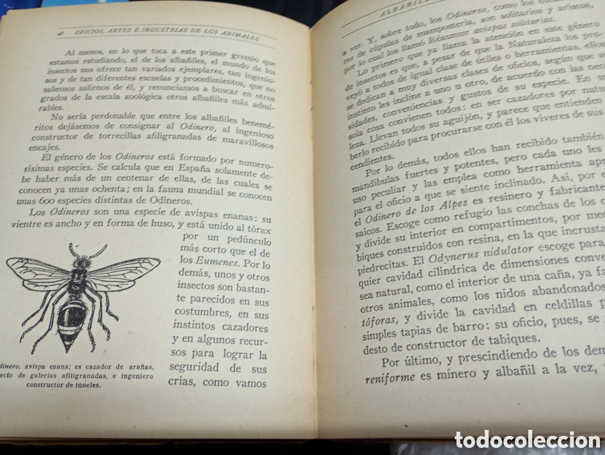 Libros antiguos: Oficios, artes e industrias de los animales, vol. I - Foto 3