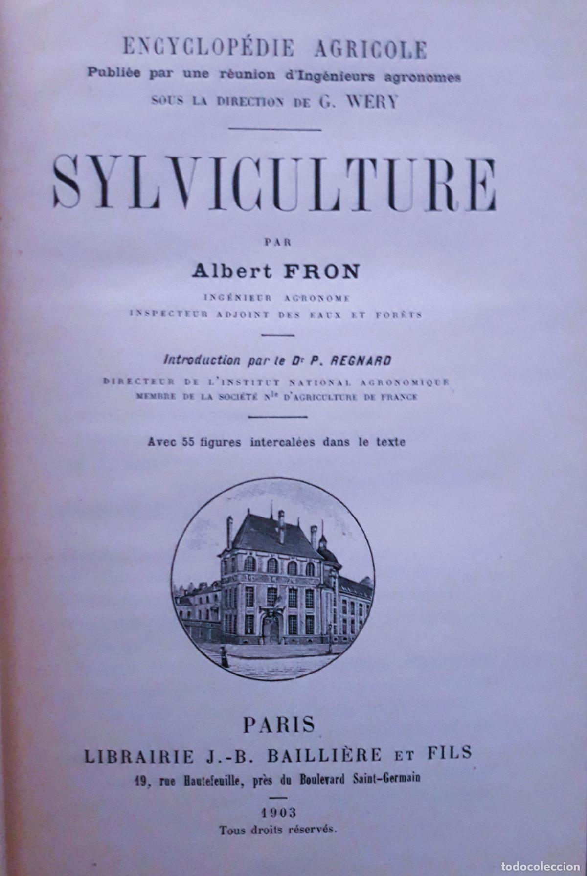 Libros antiguos: Sylviculture. Albert Fron 1903 - Foto 2