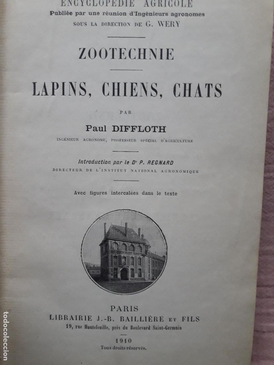 Libros antiguos: Zootechnie. Lapins, Chiens, Chats. P.Diffloth 1910 - Foto 2
