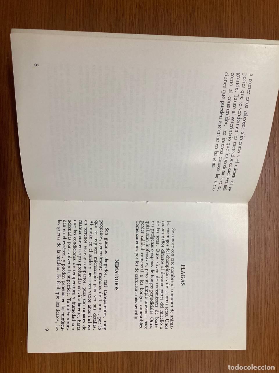 Libros antiguos: Plagas y enfermedades del champ&ntilde;&oacute;n y de las setas - Foto 2