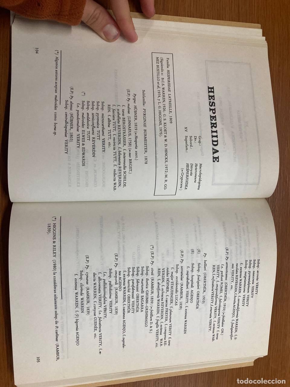 Libros antiguos: Cat&aacute;logo sistem&aacute;tico de los Lepid&oacute;pteros Ib&eacute;ricos - Foto 2