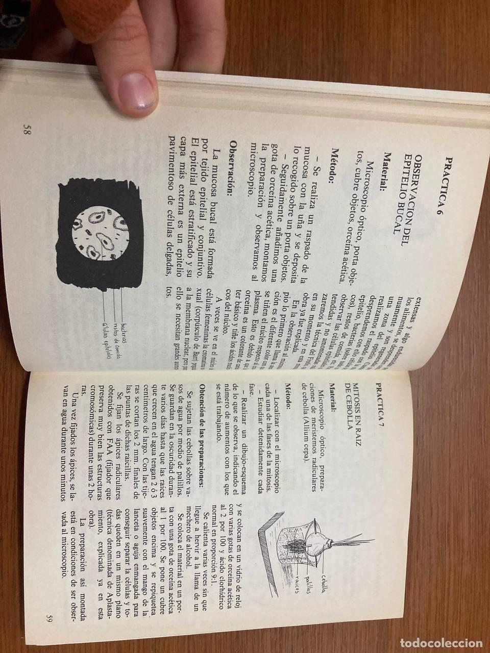 Libros antiguos: El laboratorio de ciencias naturales - Foto 2