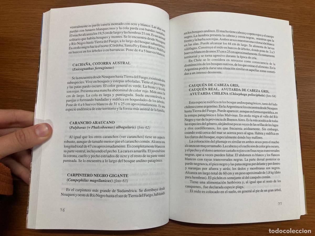 Libros antiguos: Flora y fauna Patag&oacute;nicas - Foto 2