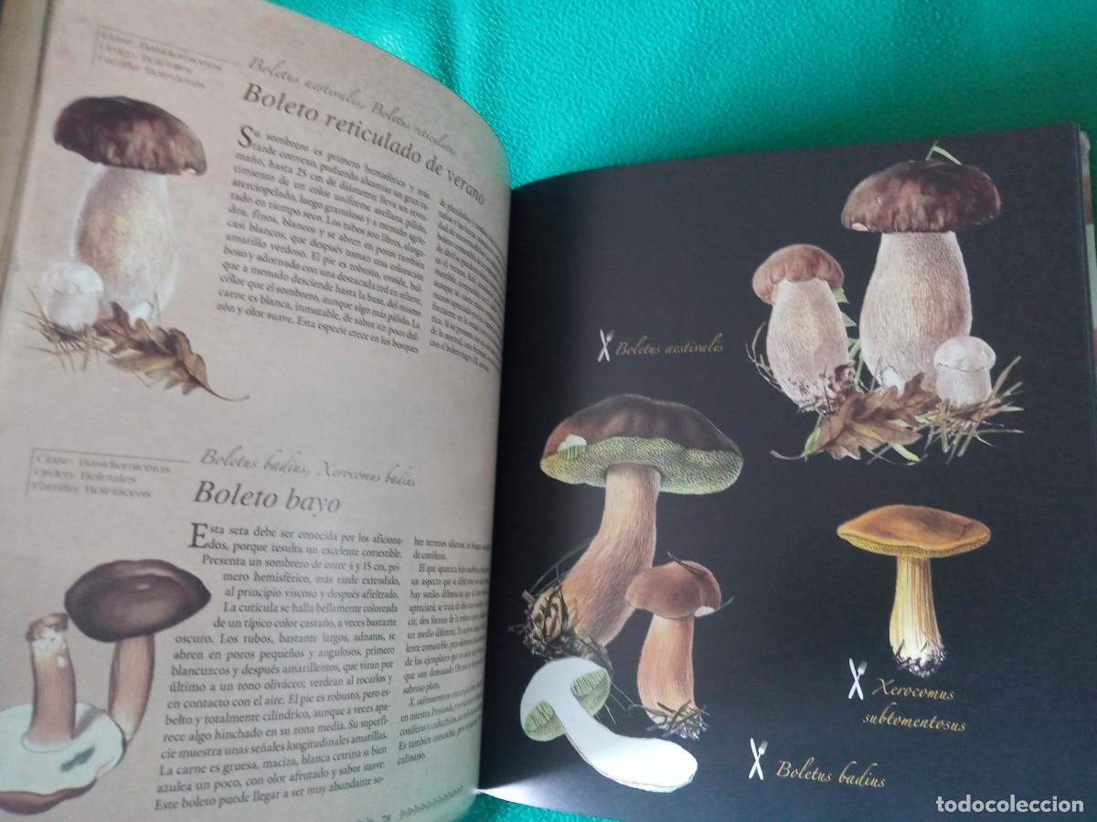 Libros antiguos: LOTE DE 2 LIBROS DE SETAS - Foto 5