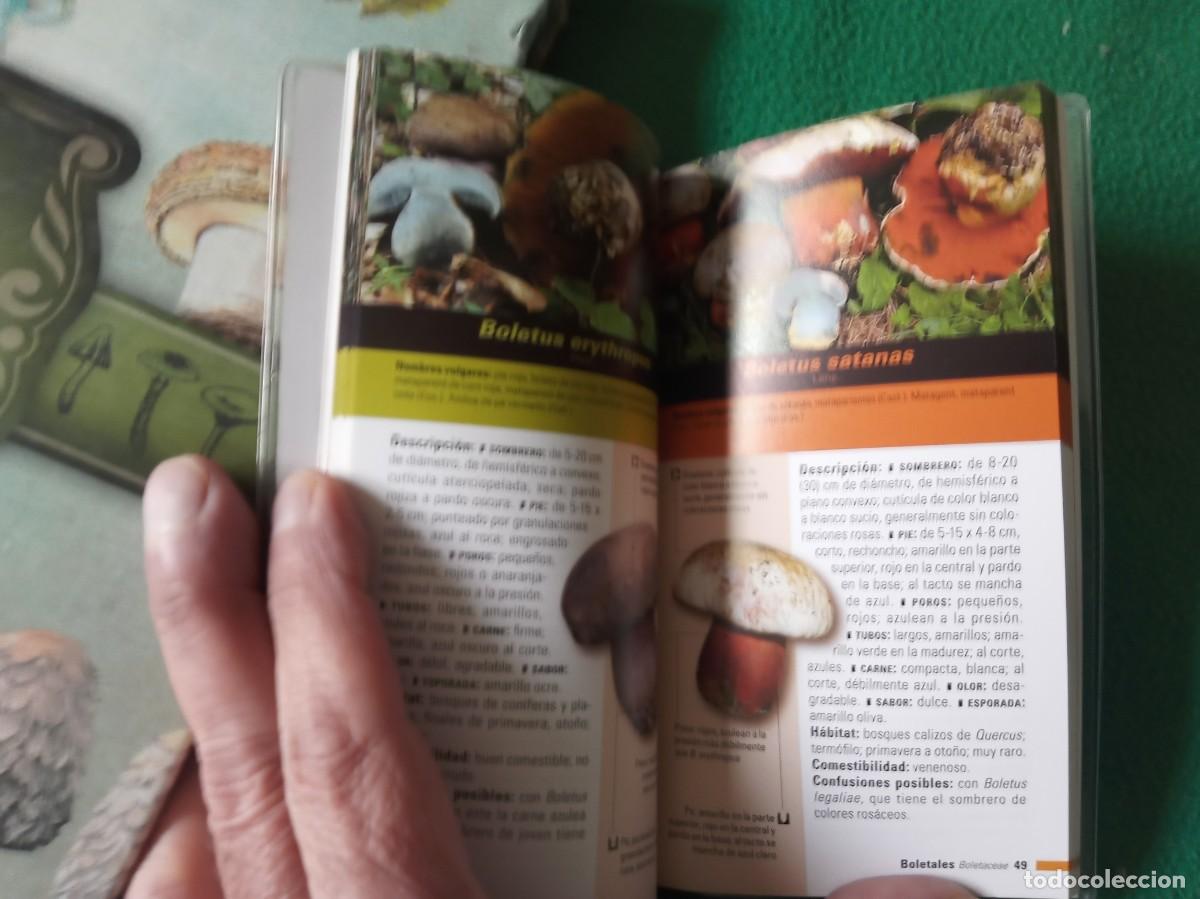 Libros antiguos: LOTE DE 2 LIBROS DE SETAS - Foto 6