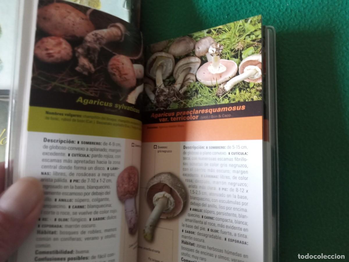 Libros antiguos: LOTE DE 2 LIBROS DE SETAS - Foto 7