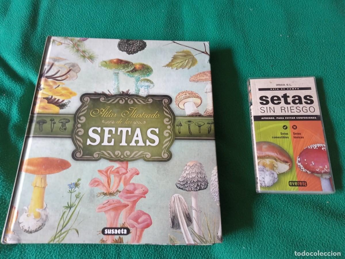 Libros antiguos: LOTE DE 2 LIBROS DE SETAS - Foto 1