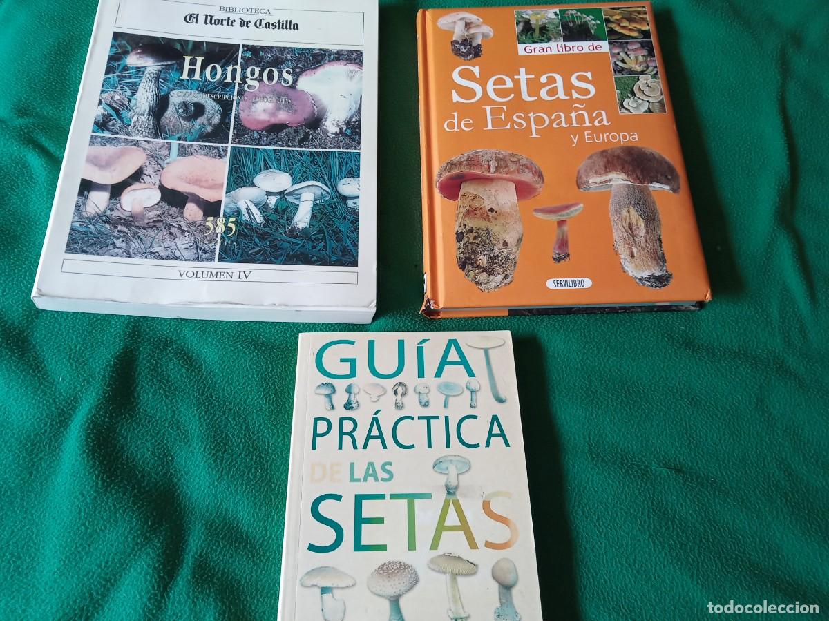 Libros antiguos: LOTE DE 3 LIBROS DE SETAS ( NUEVOS ) - Foto 1
