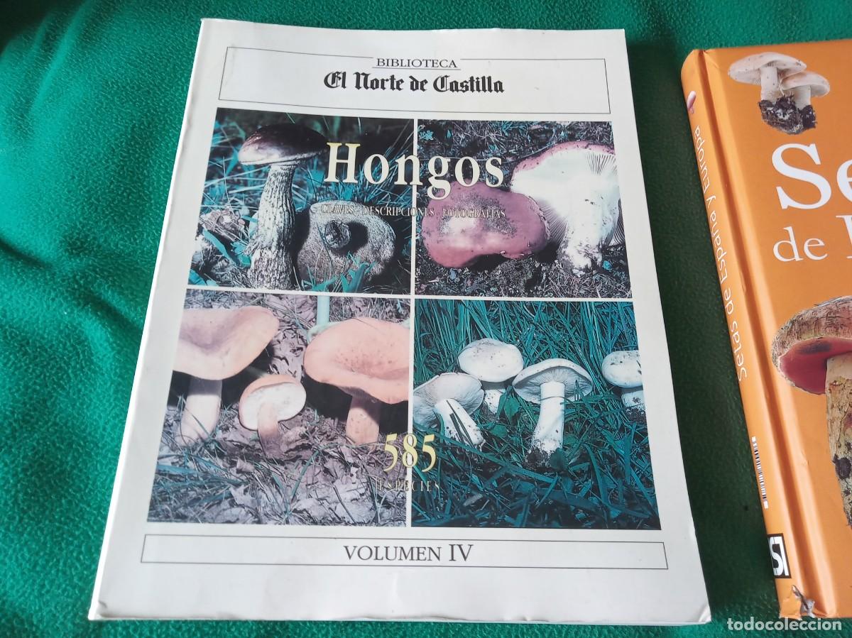 Libros antiguos: LOTE DE 3 LIBROS DE SETAS ( NUEVOS ) - Foto 2