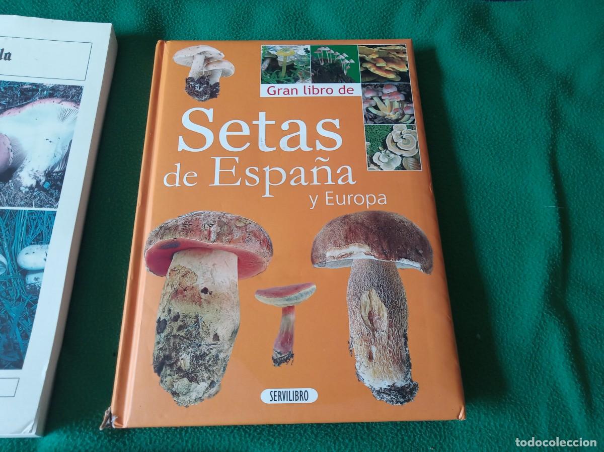 Libros antiguos: LOTE DE 3 LIBROS DE SETAS ( NUEVOS ) - Foto 3