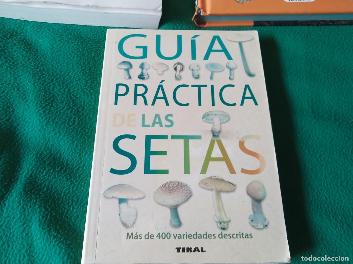 Libros antiguos: LOTE DE 3 LIBROS DE SETAS ( NUEVOS ) - Foto 4