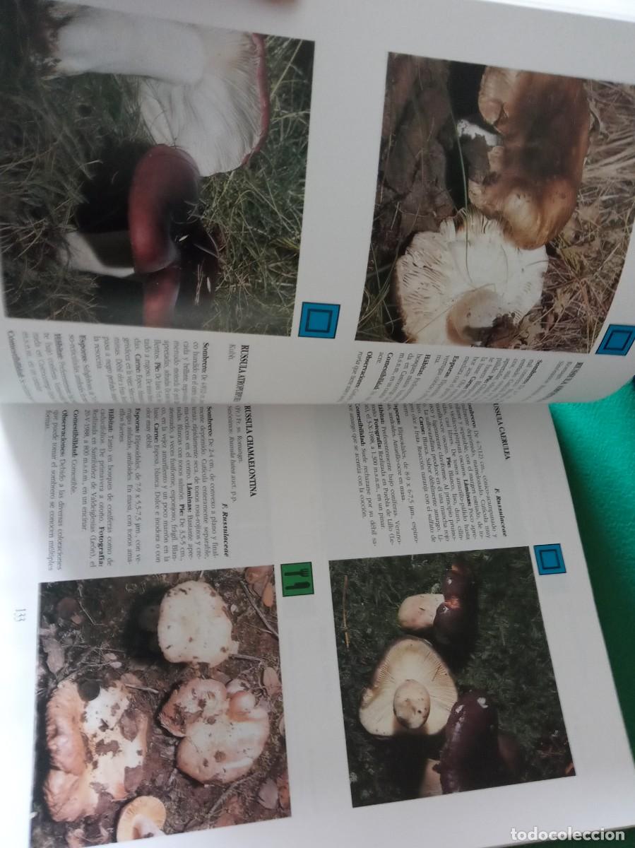 Libros antiguos: LOTE DE 3 LIBROS DE SETAS ( NUEVOS ) - Foto 7