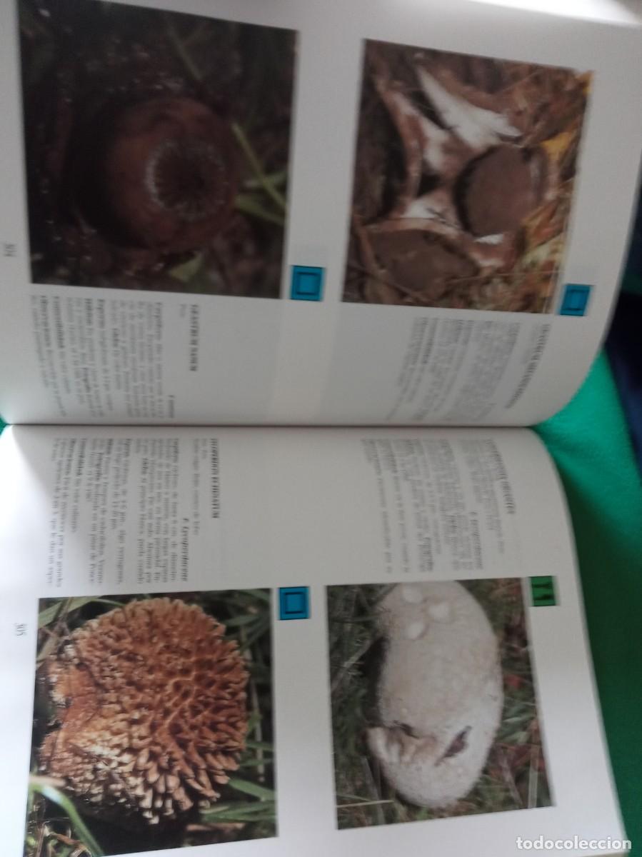 Libros antiguos: LOTE DE 3 LIBROS DE SETAS ( NUEVOS ) - Foto 9