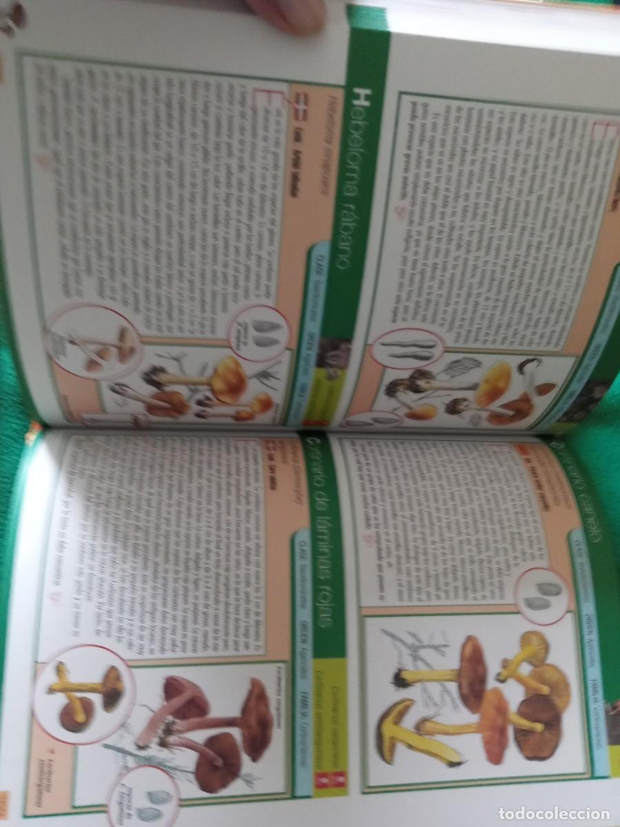 Libros antiguos: LOTE DE 3 LIBROS DE SETAS ( NUEVOS ) - Foto 10