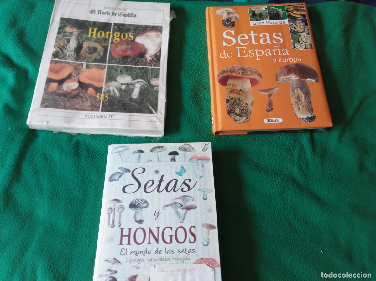 Libros antiguos: LOTE DE 3 LIBROS DE SETAS ( NUEVOS ) - Foto 1
