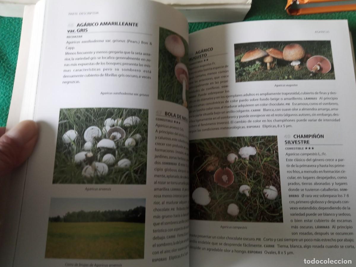 Libros antiguos: LOTE DE 3 LIBROS DE SETAS ( NUEVOS ) - Foto 3