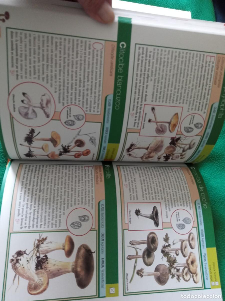 Libros antiguos: LOTE DE 3 LIBROS DE SETAS ( NUEVOS ) - Foto 5
