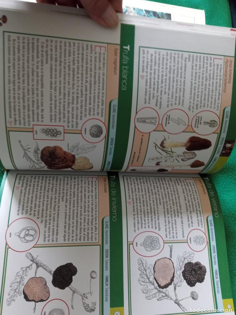 Libros antiguos: LOTE DE 3 LIBROS DE SETAS ( NUEVOS ) - Foto 6