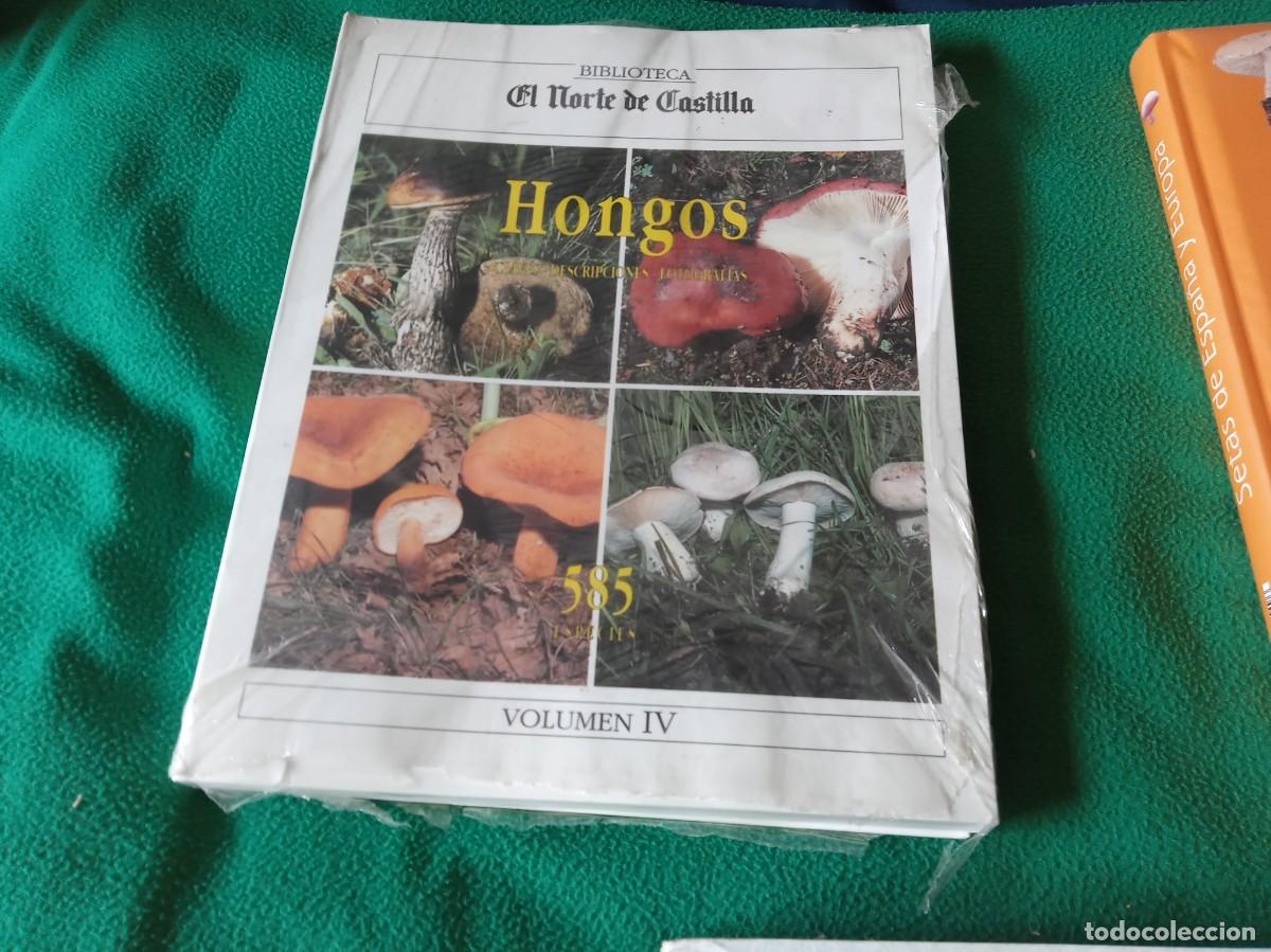 Libros antiguos: LOTE DE 3 LIBROS DE SETAS ( NUEVOS ) - Foto 7