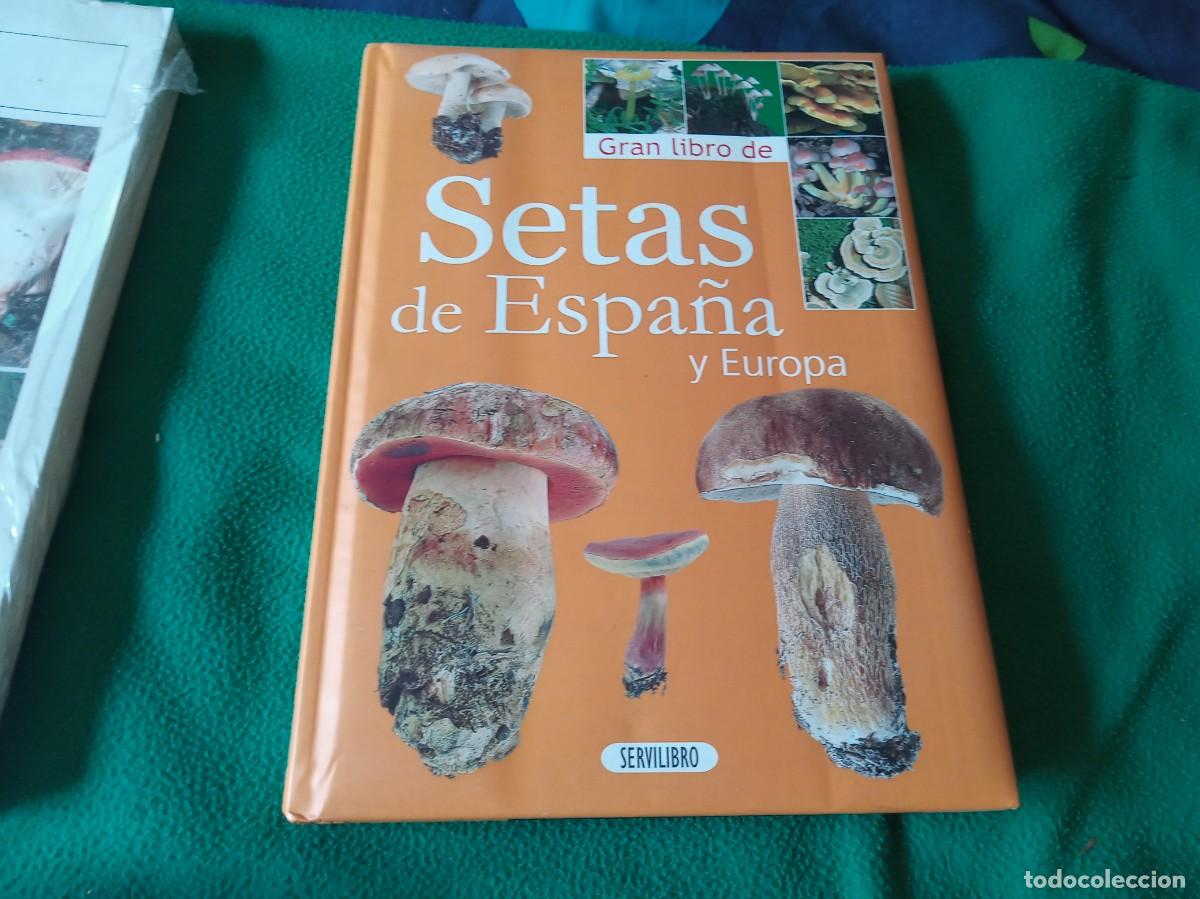 Libros antiguos: LOTE DE 3 LIBROS DE SETAS ( NUEVOS ) - Foto 8