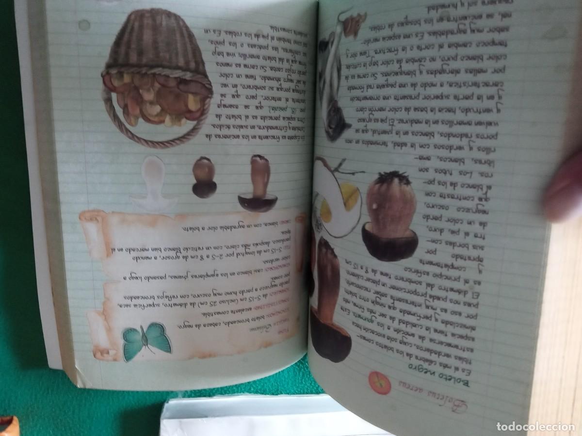 Libros antiguos: LOTE DE 3 LIBROS DE SETAS ( NUEVOS ) - Foto 9