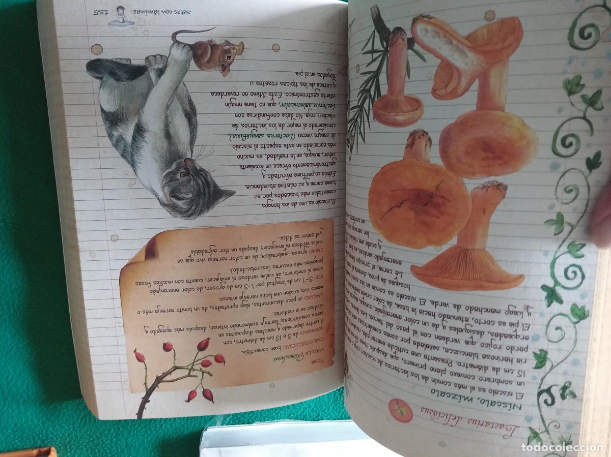 Libros antiguos: LOTE DE 3 LIBROS DE SETAS ( NUEVOS ) - Foto 10