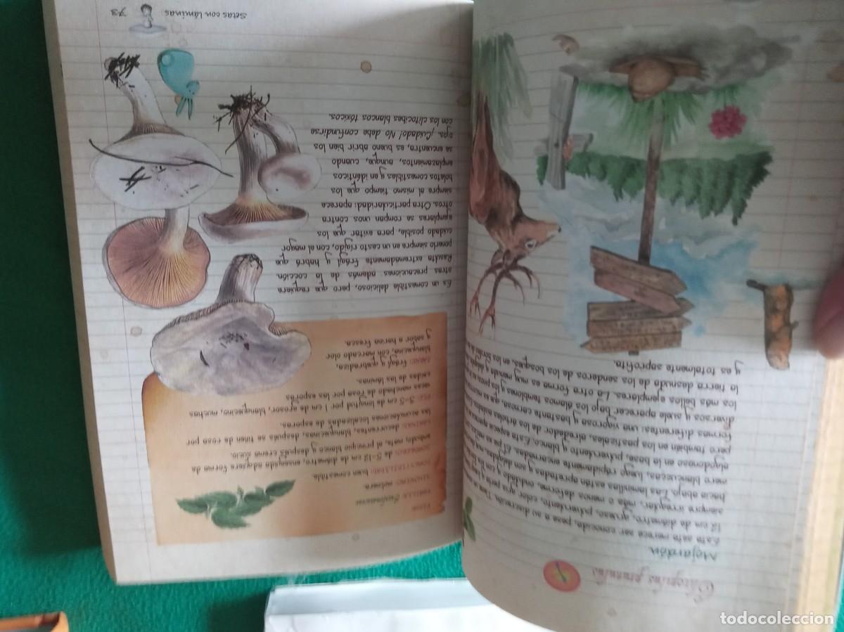 Libros antiguos: LOTE DE 3 LIBROS DE SETAS ( NUEVOS ) - Foto 11