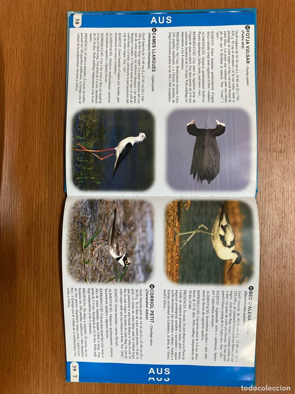 Libros antiguos: Fauna de les zones humides de Ponent - Foto 2