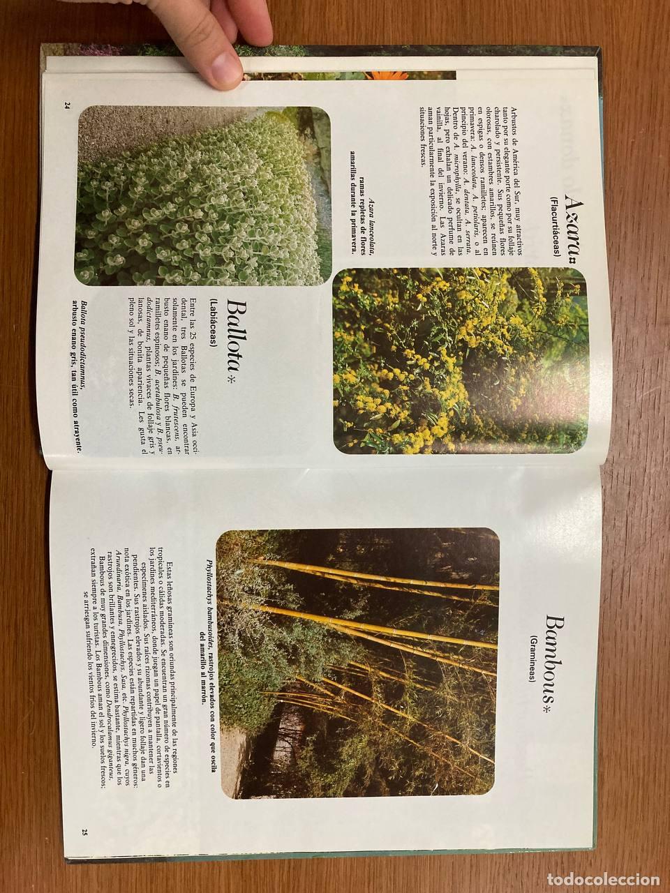 Libros antiguos: Plantas mediterr&aacute;neas - Foto 2