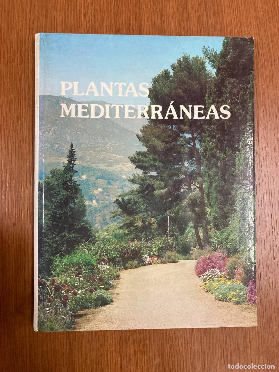 Libros antiguos: Plantas mediterr&aacute;neas - Foto 1