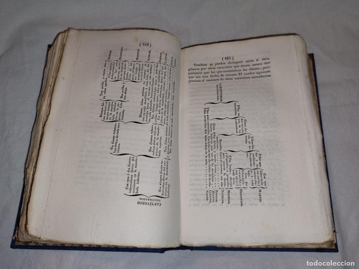 Libros antiguos: ELEMENTOS DE ZOOLOGIA - A&Ntilde;O 1843 - EDWARDS-COMTE - LAMINAS. - Foto 5