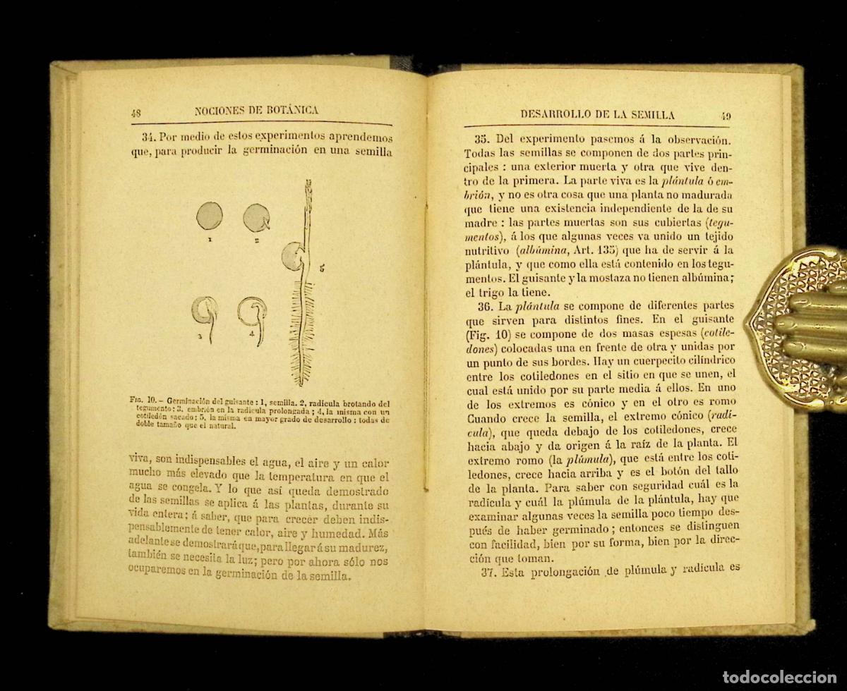Libros antiguos: NOCIONES DE BOT&Aacute;NICA. - HOOKER, J. D. 1895 - Foto 3