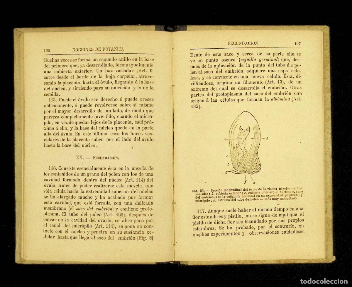 Libros antiguos: NOCIONES DE BOT&Aacute;NICA. - HOOKER, J. D. 1895 - Foto 4