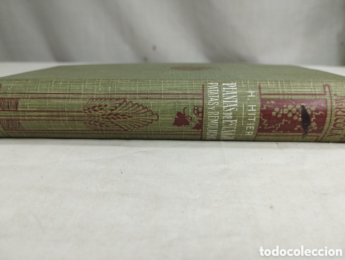 Libros antiguos: Plantas de escarda. H. Hitier, 1930 - Foto 3
