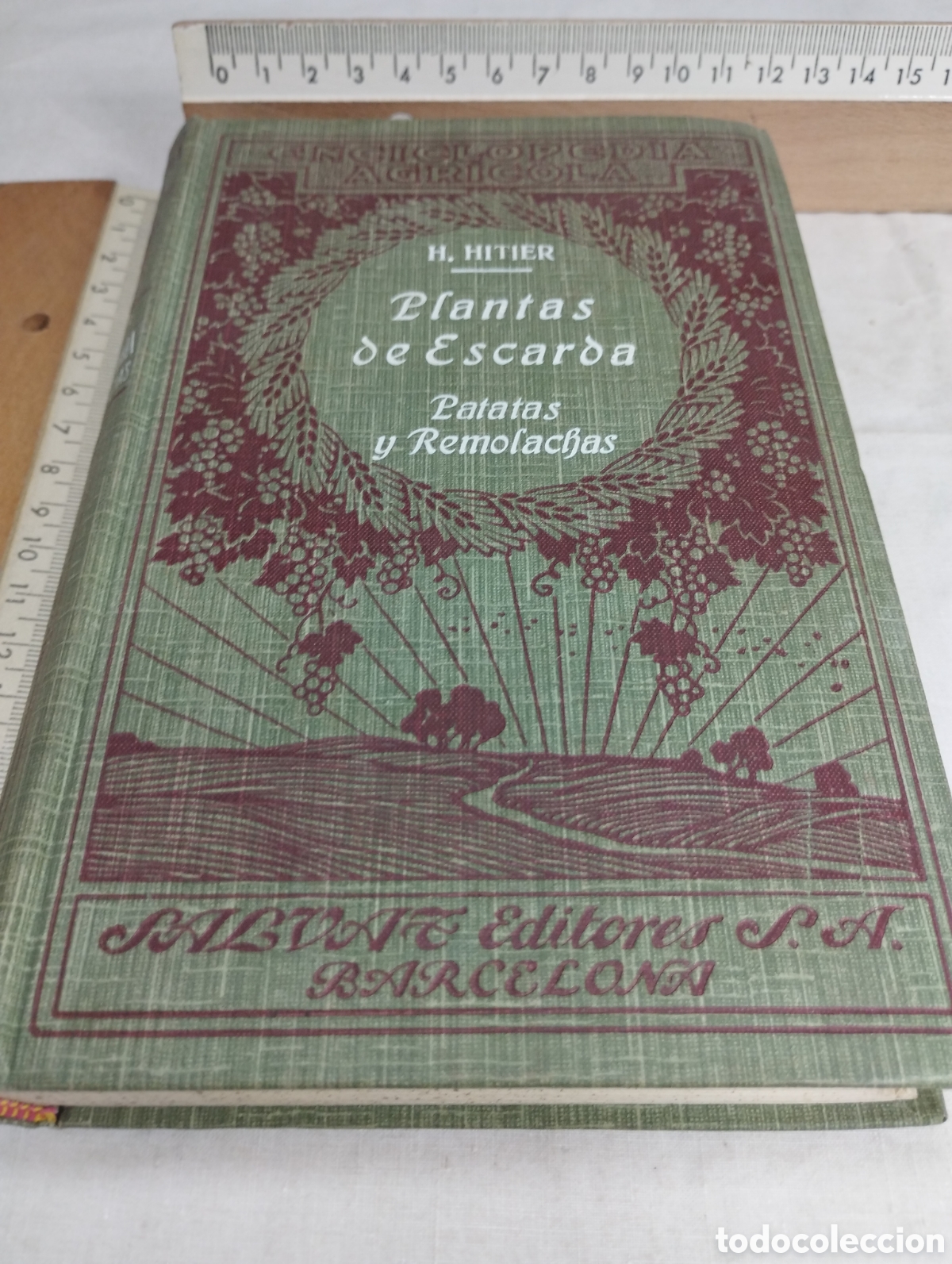 Libros antiguos: Plantas de escarda. H. Hitier, 1930 - Foto 1