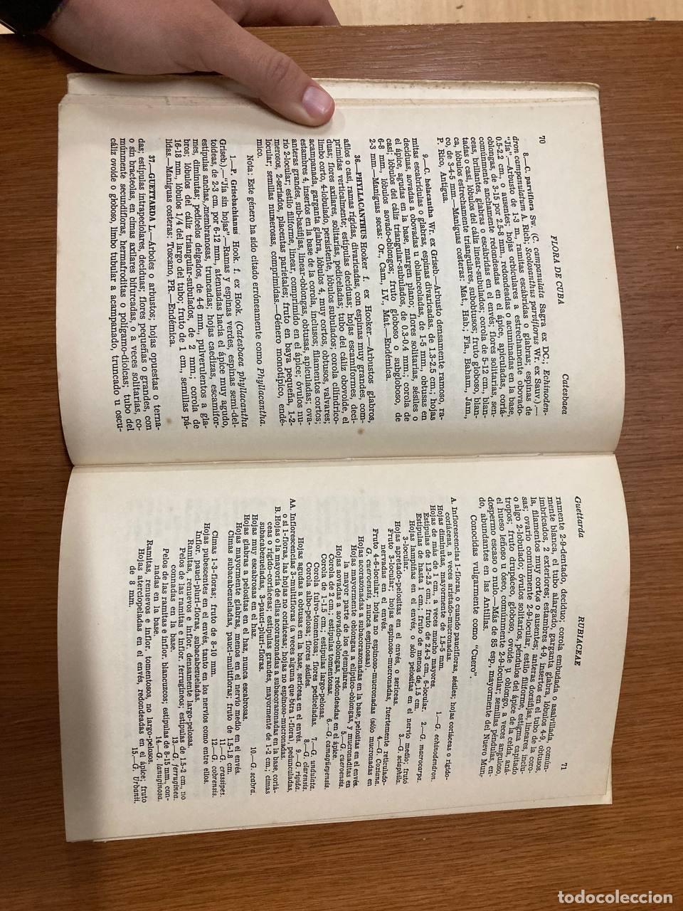 Libros antiguos: Flora de Cuba. Tomo V - Foto 2
